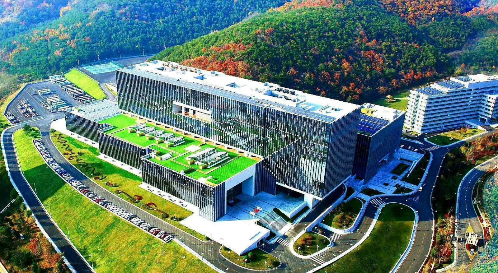 1744099032223613.jpg 1.jpg