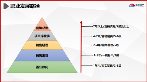 1614764662813482.png 晋升.png