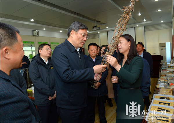 1547693228282009.jpg 王文涛发挥人才科研优势 为农业振兴插上科技翅膀2.jpg