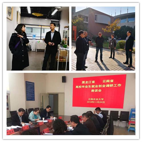 1547775075792635.jpg 云南省开展大学生就业创业调研活动1.jpg