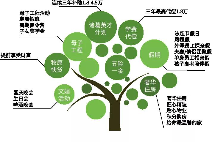 1589166561876683.jpg 1.jpg