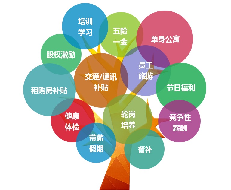 1589270244656715.jpg 3.jpg