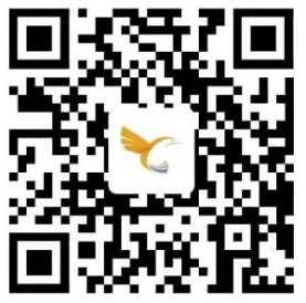 1667229890302440.png image.png