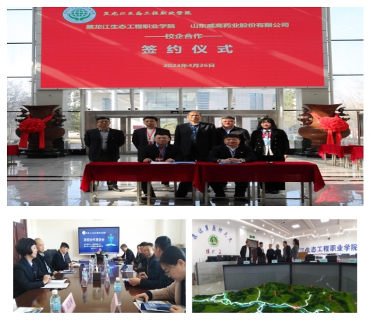 1683247255454151.jpg 1683247255454151.jpg