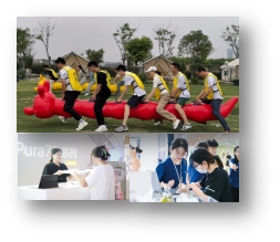 1725506057781439.png image.png