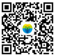 1745242560113861.png 421 10 2.png