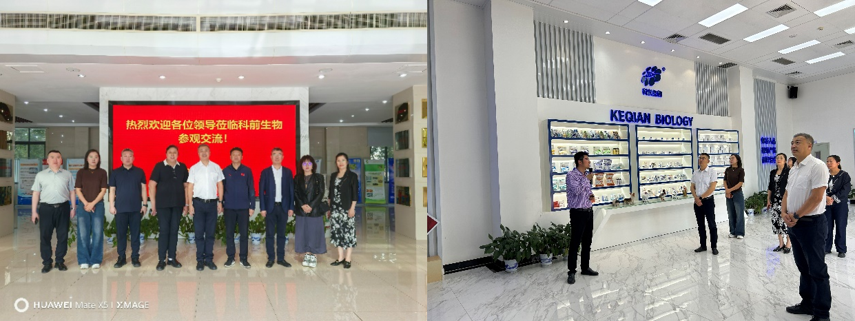 1745283250586320.png 1745283250586320.png