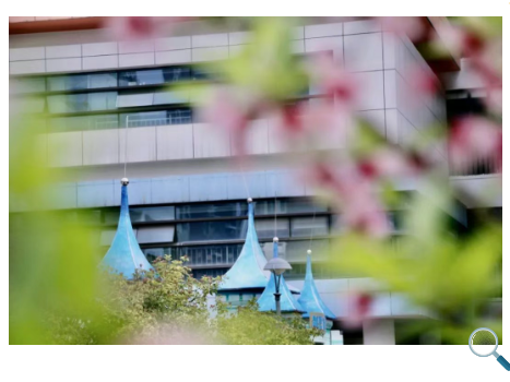 1746440253696044.png image.png